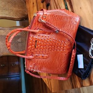 Brahmin- Audra Amaryllis Melbourne